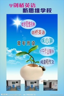英語招生廣告矢量圖設(shè)計方案與代理合作指南